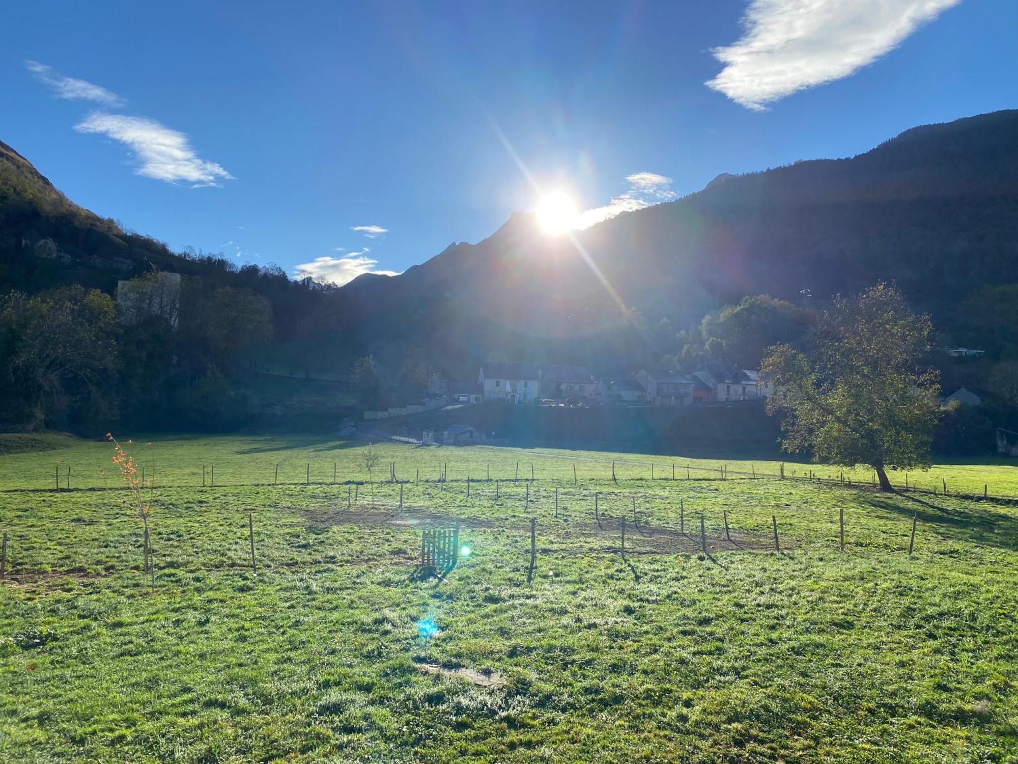 Au Bord Du Gave Apartment Laruns Luaran gambar